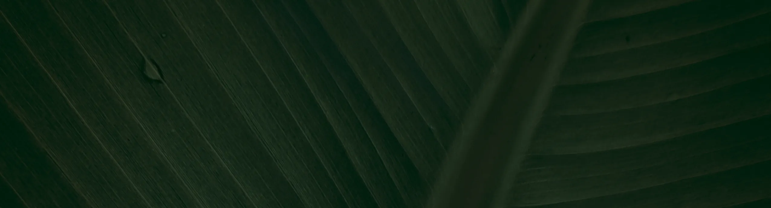 hero-image_optimized Augue Neque